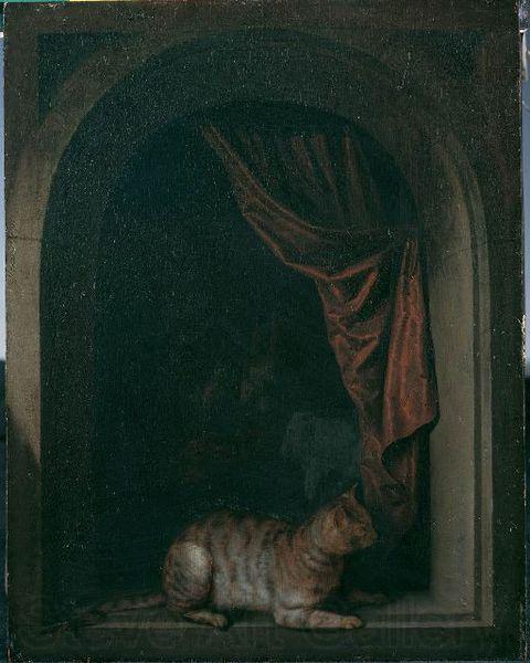 Gerard Dou Eine Katze am Fenster eines Malerateliers Norge oil painting art